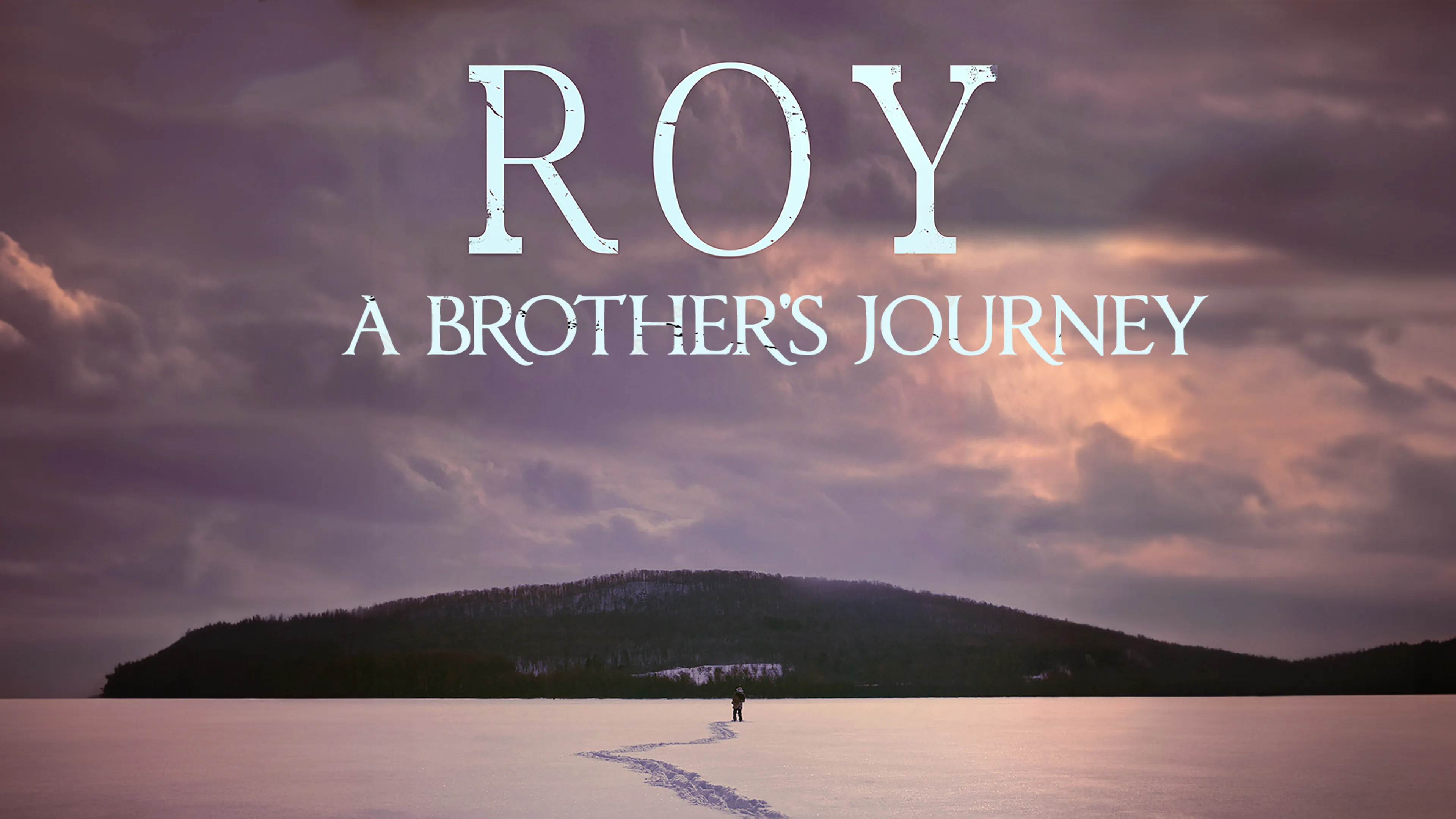 Roy, A Brother's Journey poster